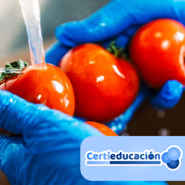 Manipulación de Alimentos